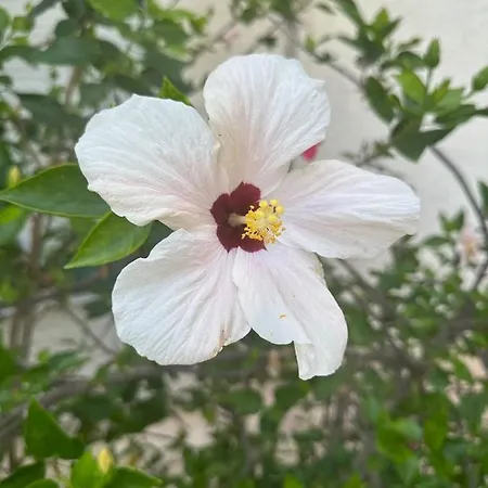 Beachfront * 마르베야