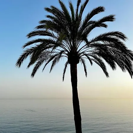 Beachfront Marbella