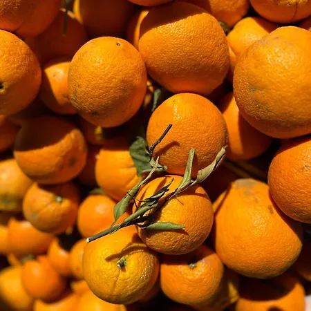 Beachfront Apartamento *