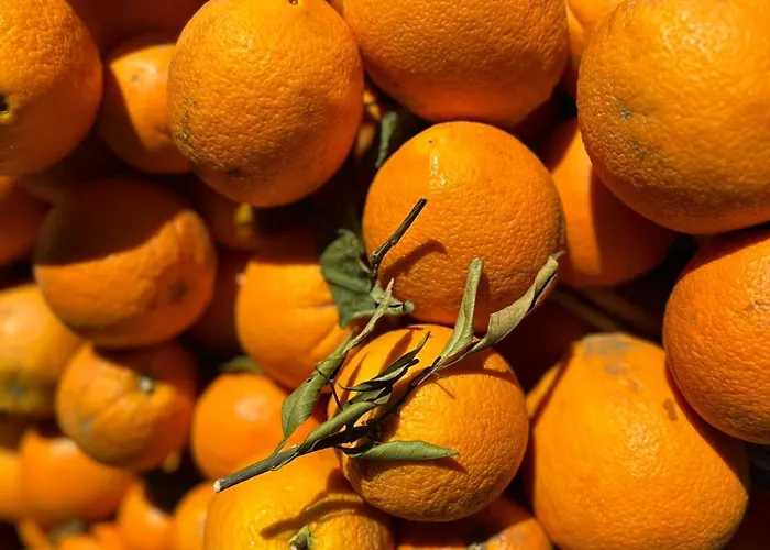 Beachfront Apartament *